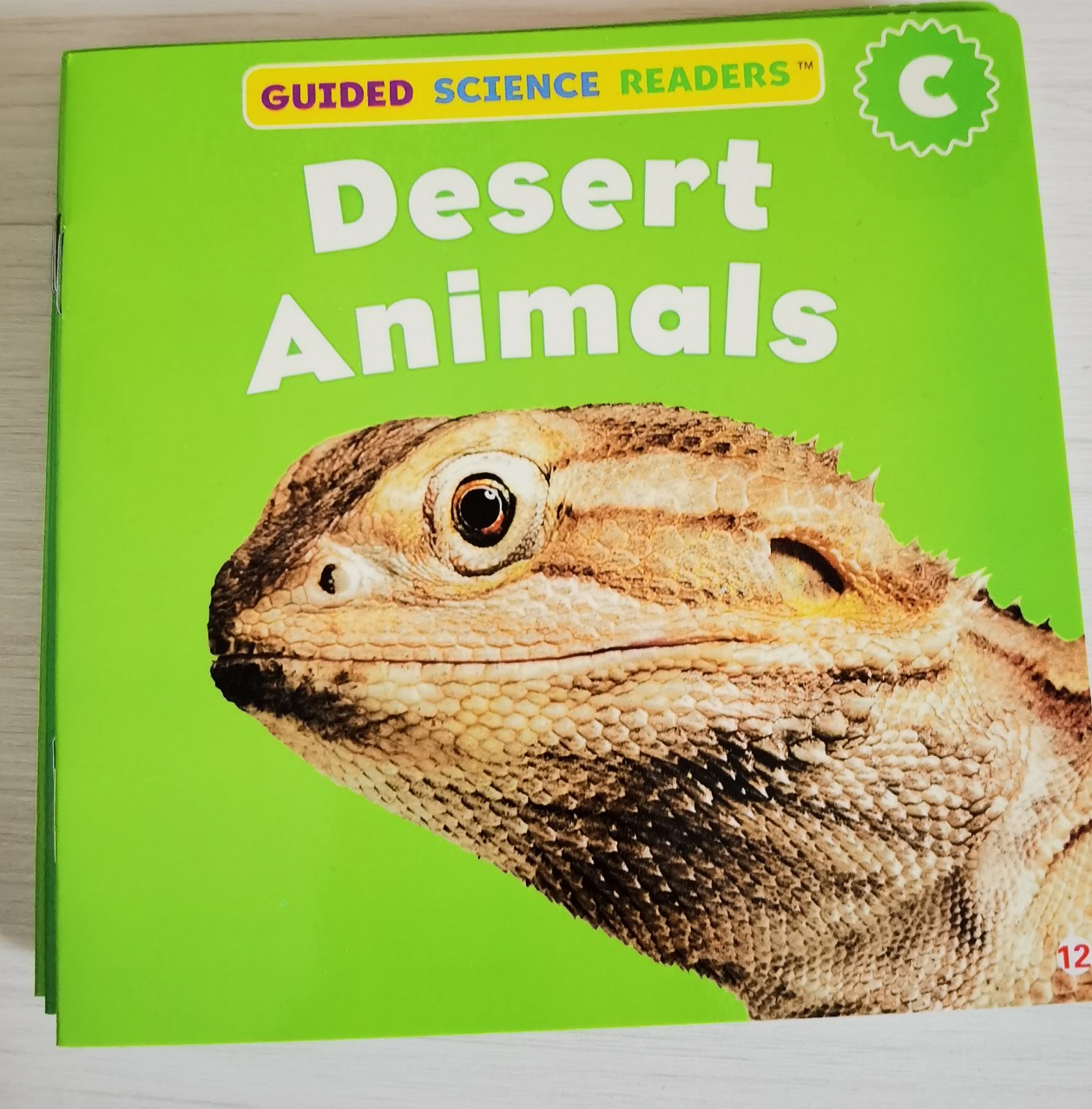 desert animals