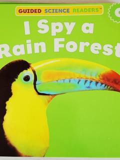 i spy a rain forest