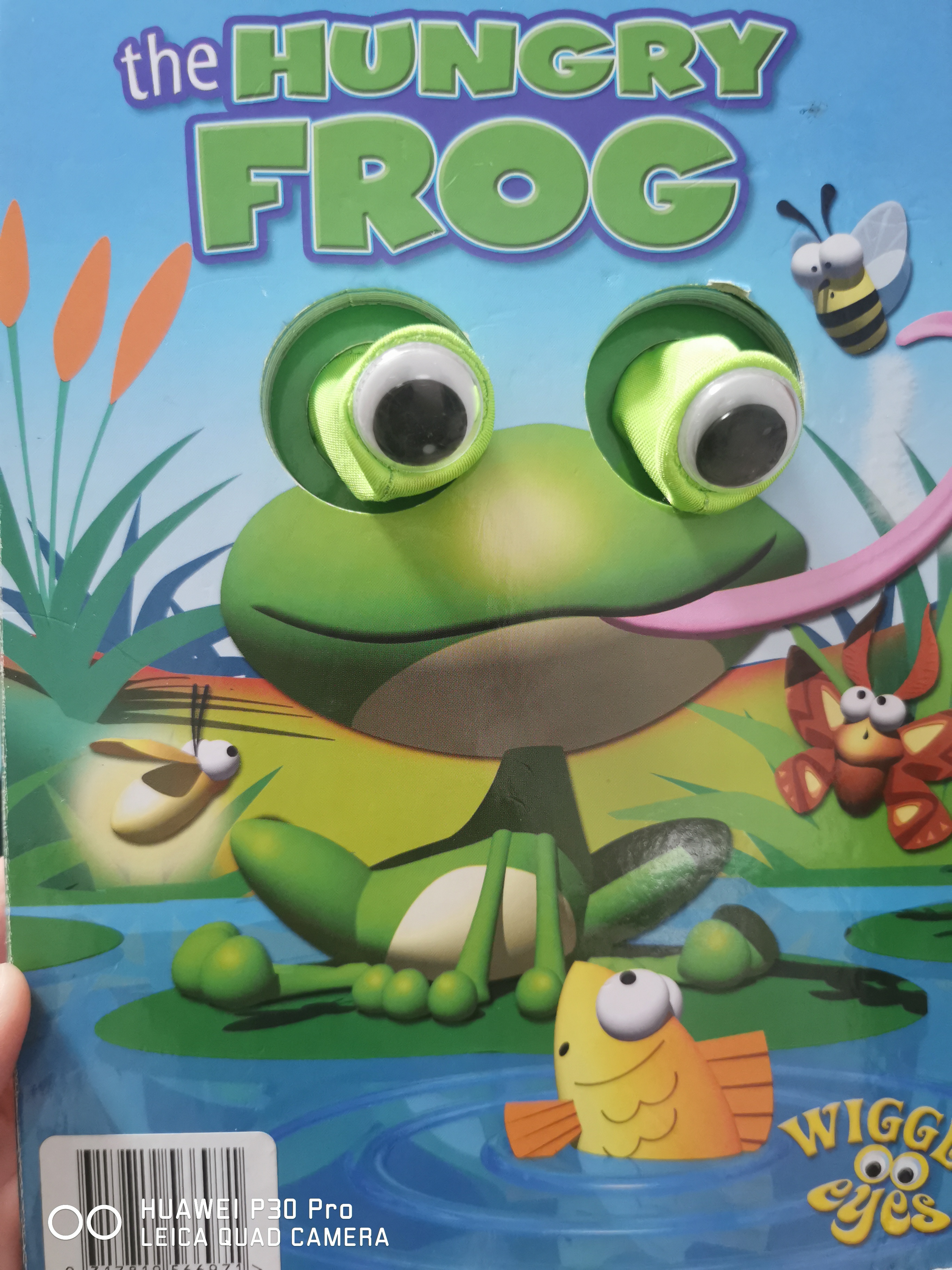 The hungry frog