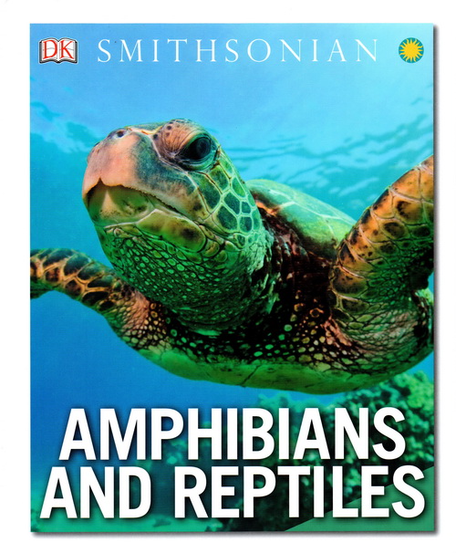 Amphibians And Reptiles