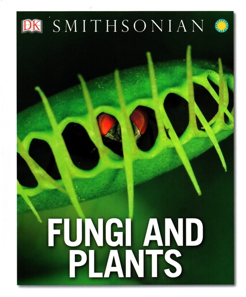 Fungi And Plants