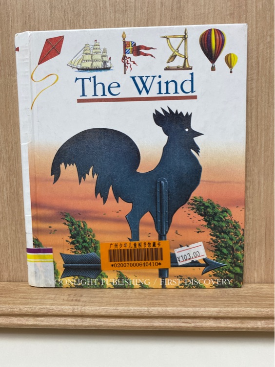 the wind