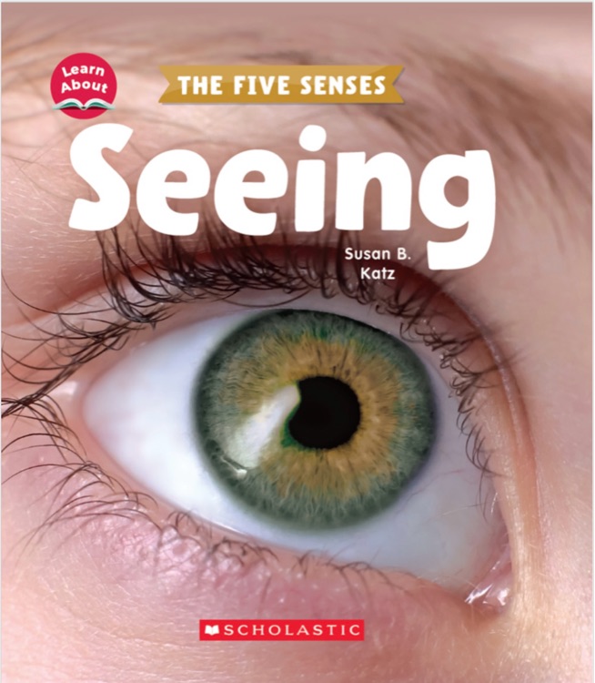 the five senses seeing