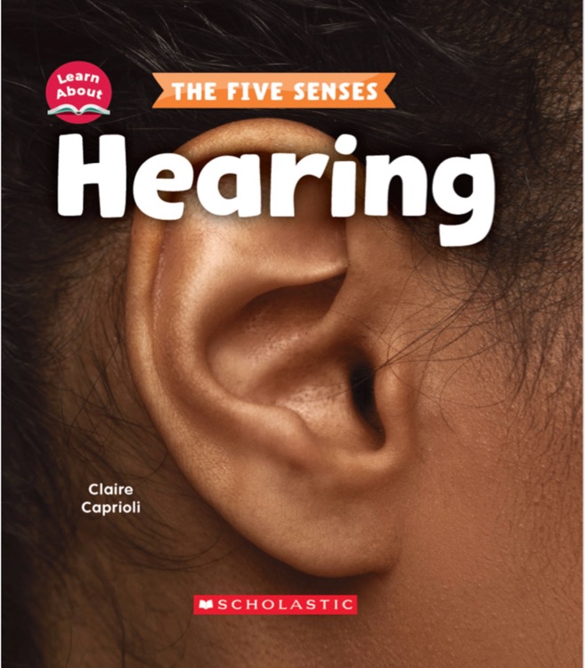 The five senses Hearing