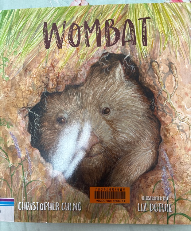 Wombat