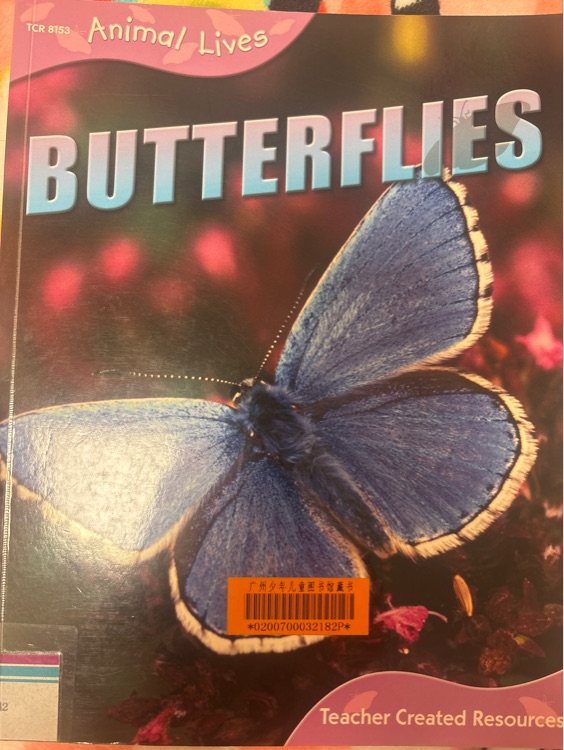 butterflies