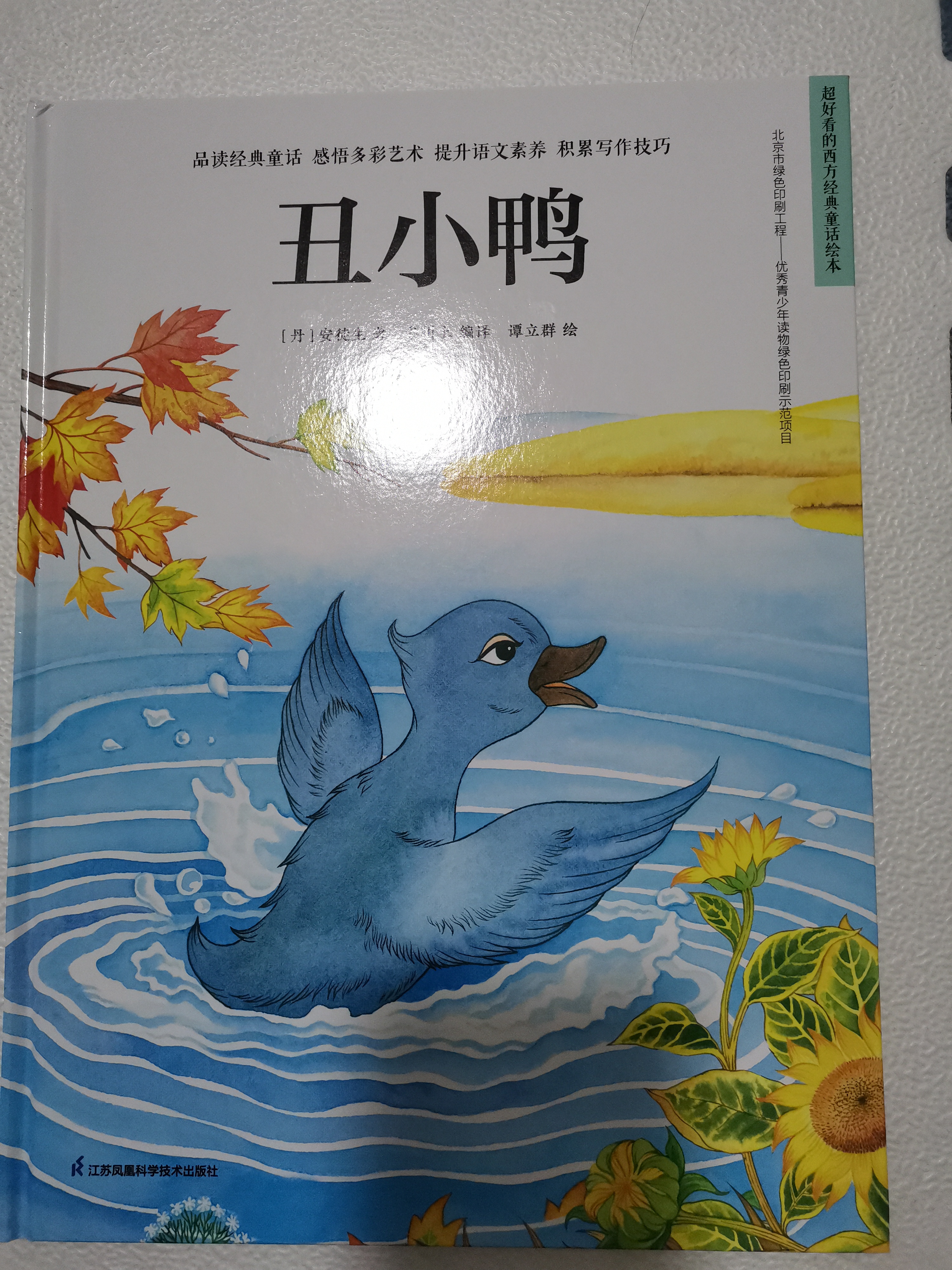 丑小鴨