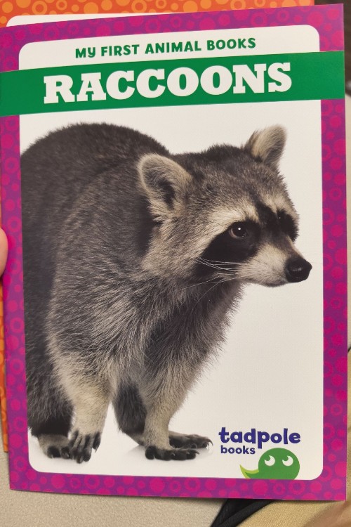 Raccoons