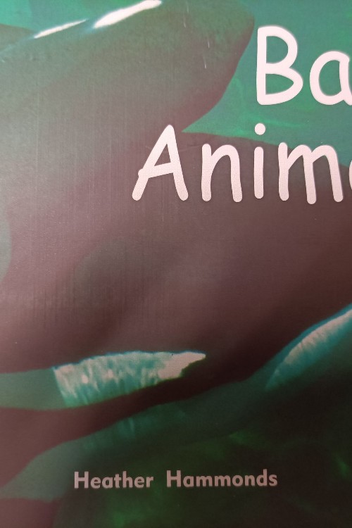 baby animals