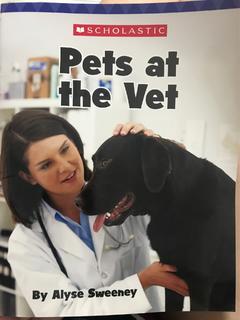 Pets at the Vet