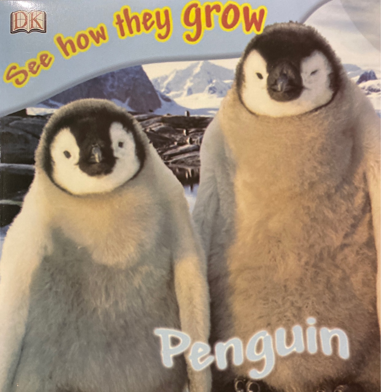 see how they grow penguin