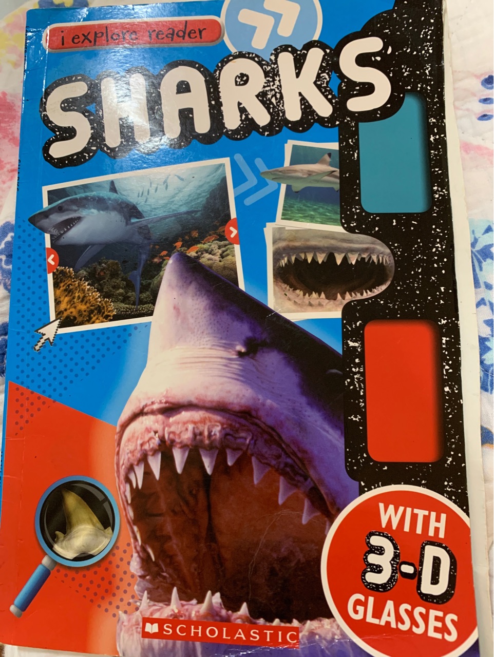 Sharks