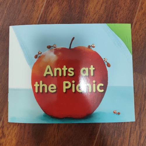 Ants at the Picnic