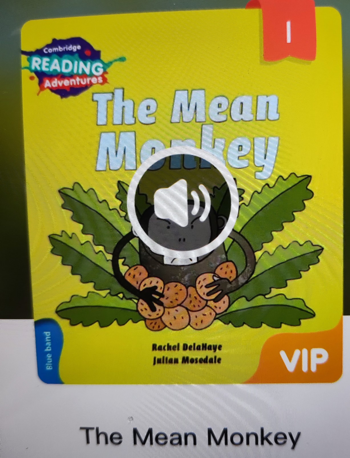 the mean monkey