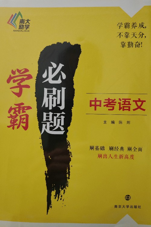 學(xué)霸必刷題中考語(yǔ)文