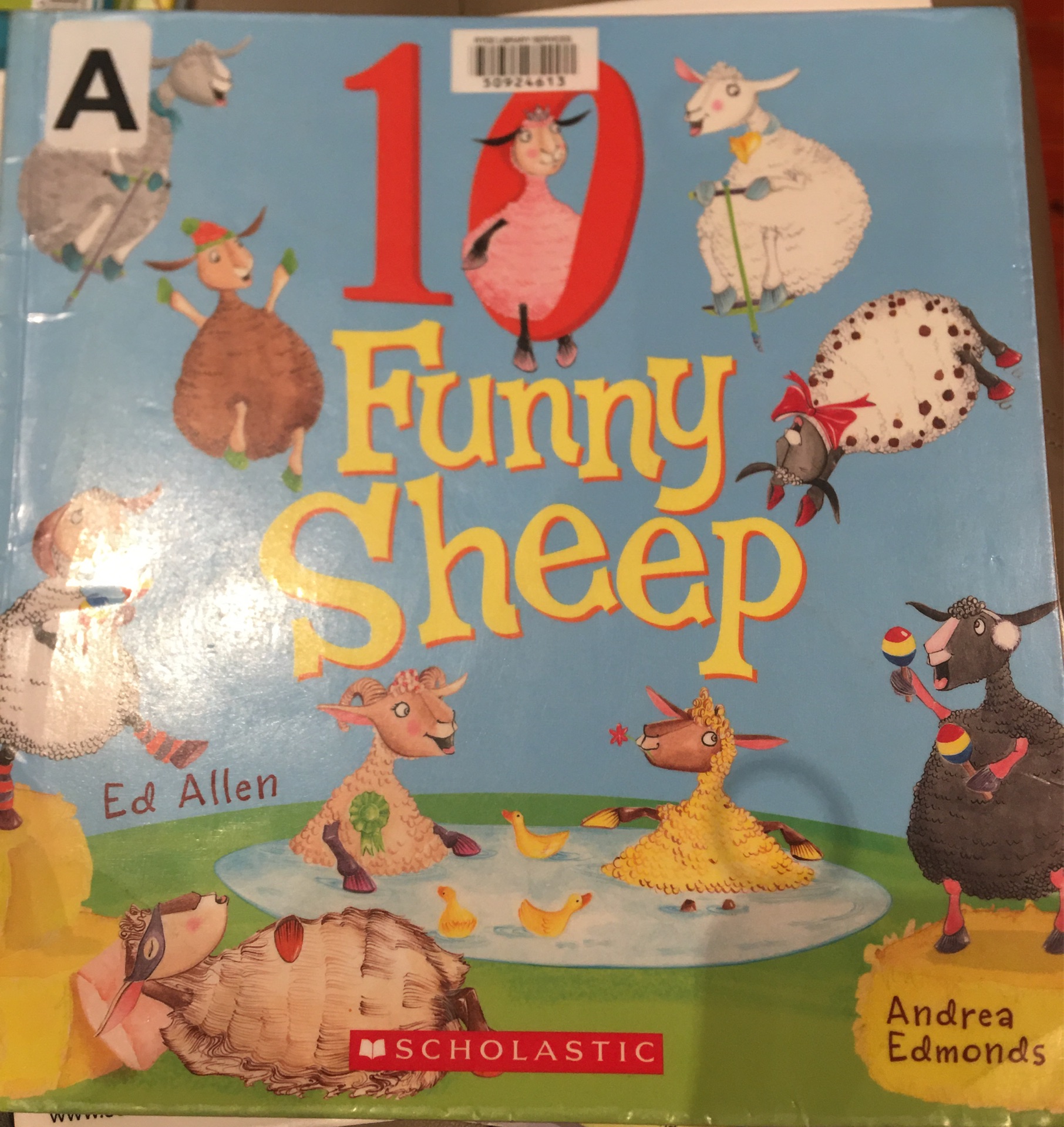 10 funny sheep