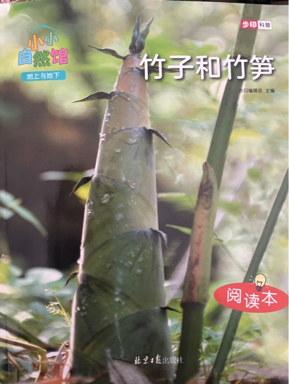 小小自然館: 竹子和竹筍