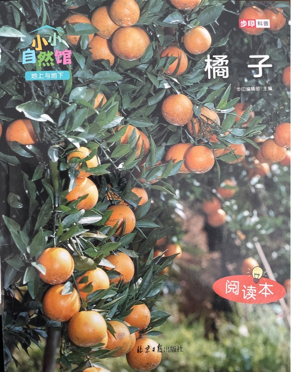 小小自然館: 橘子