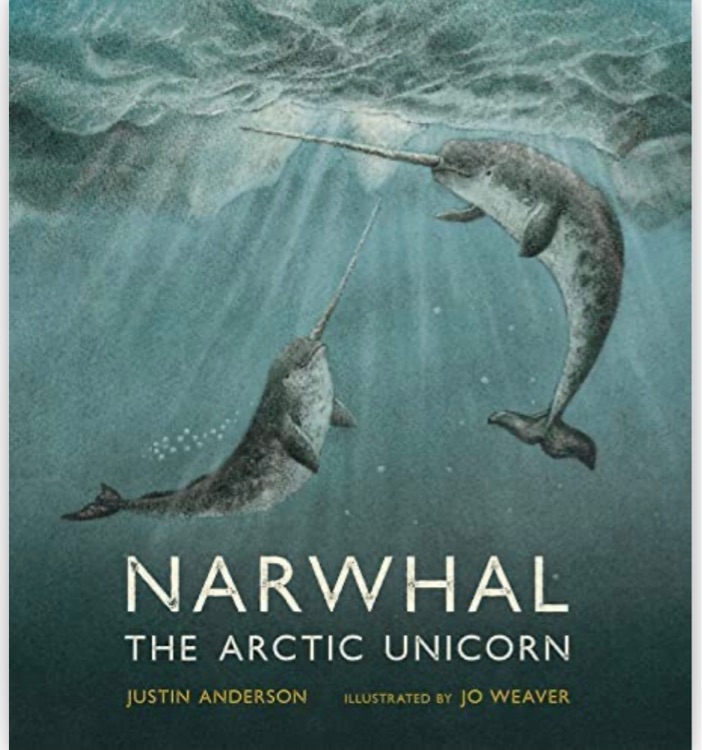 Jo Weaver Narwhal The Arctic Unicorn