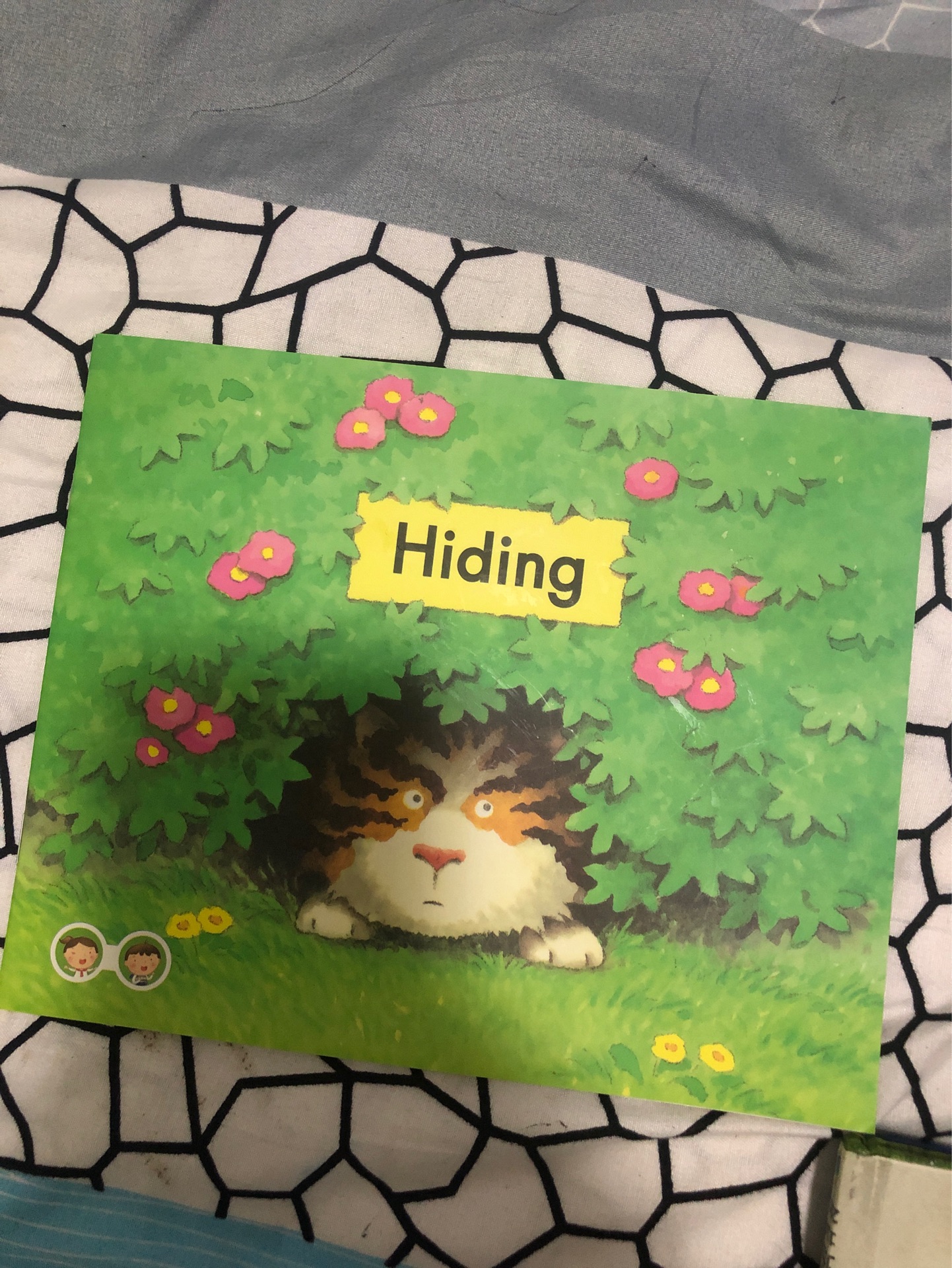 Hiding