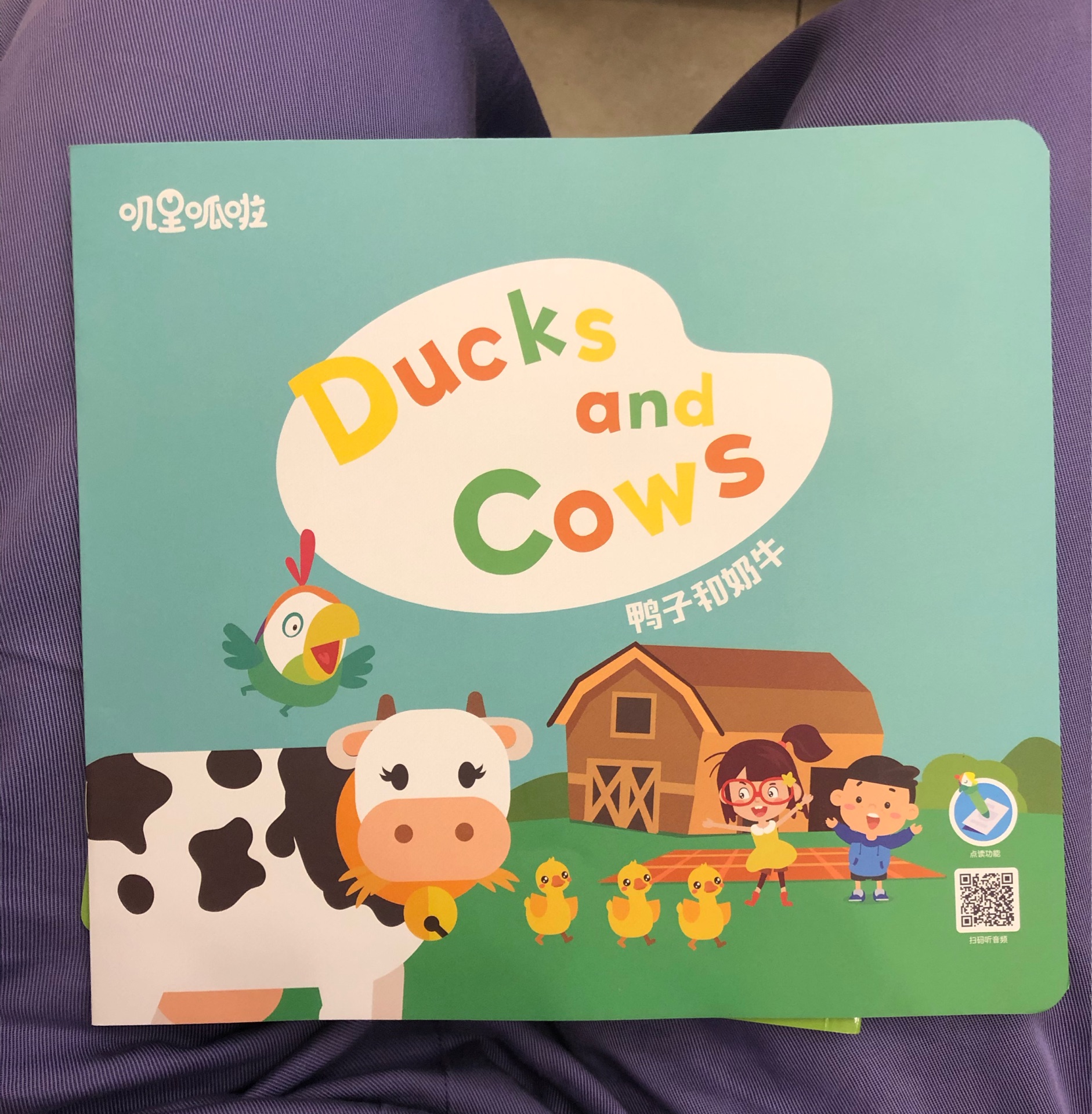 Ducks and COWs