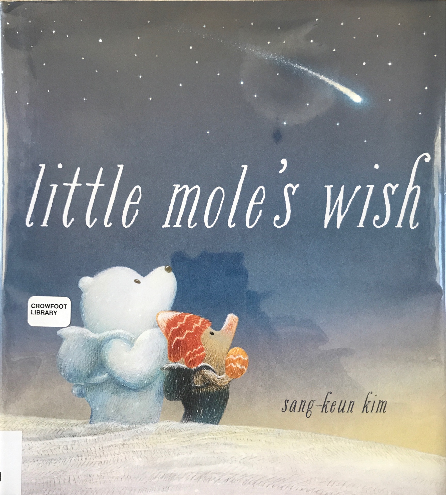 Little Mole's Wish