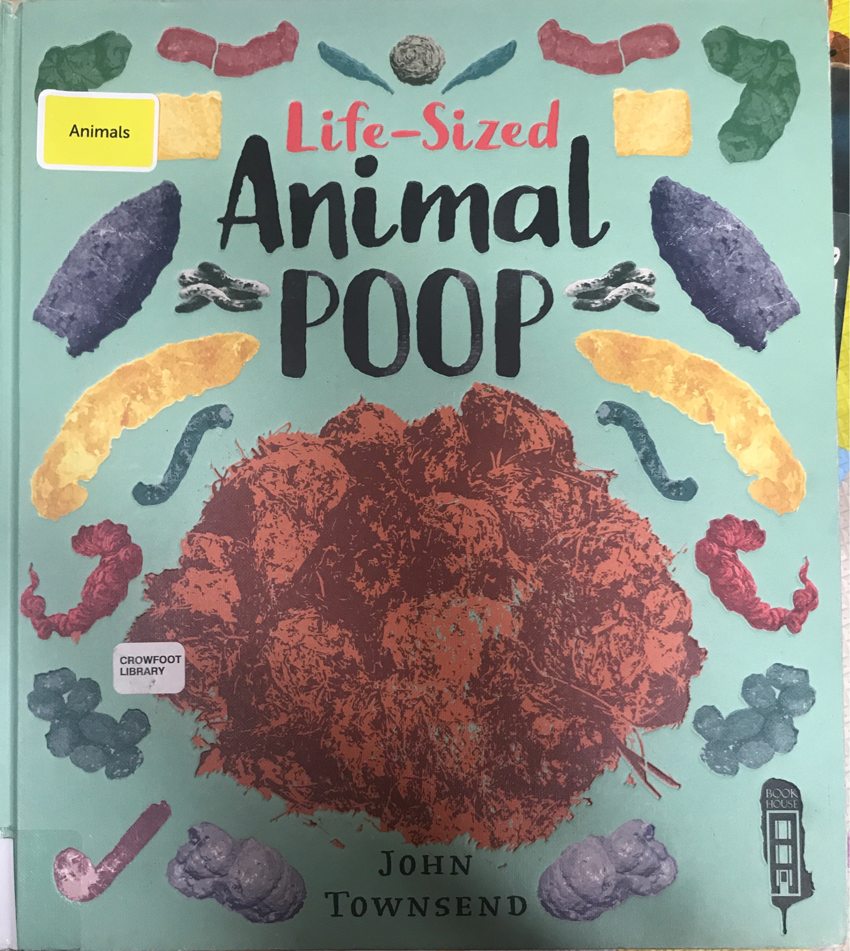 Life-Sized Animal Poop