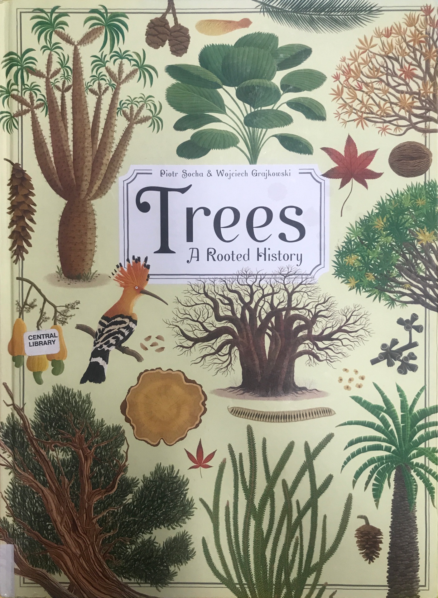 Trees-A Rooted History