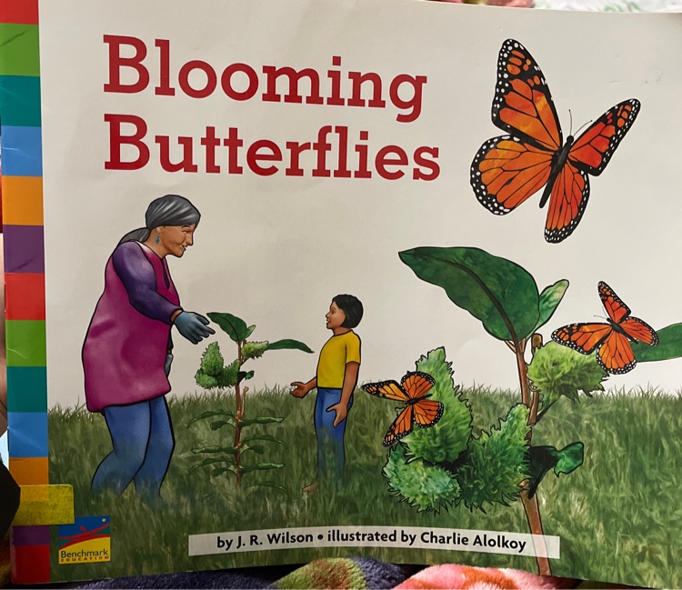 Blooming Butterflies 小花生