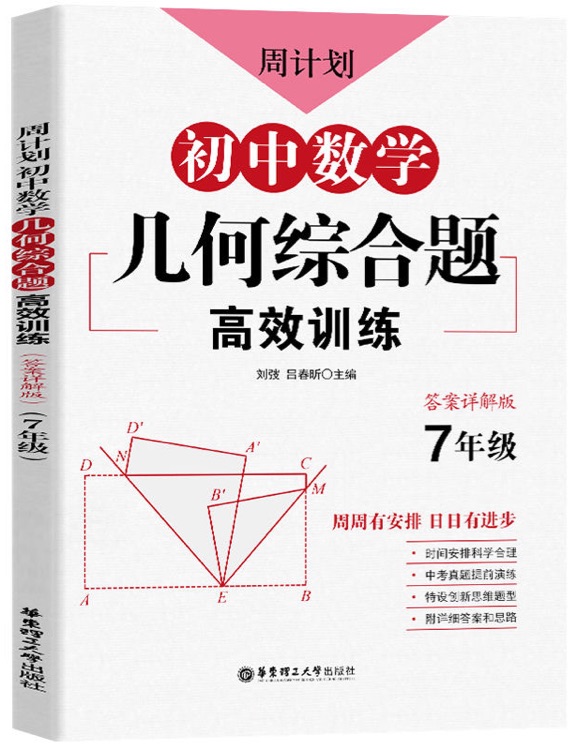 初中數(shù)學(xué) 幾何綜合題 高效訓(xùn)練(7年級)