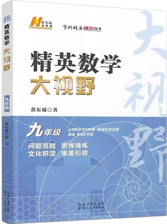 2023版精英数学大视野 九年级
