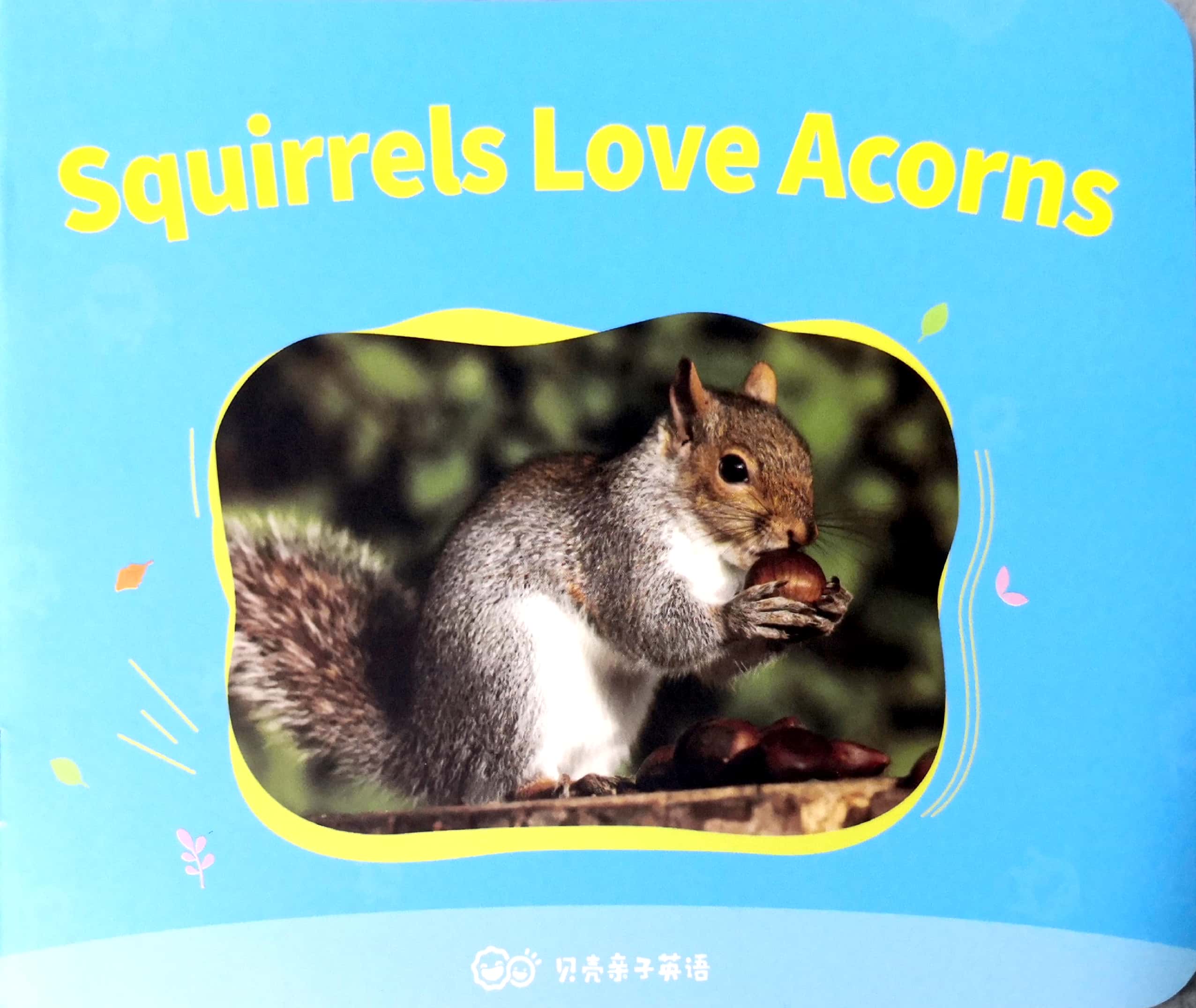 Squirrels love Acorns