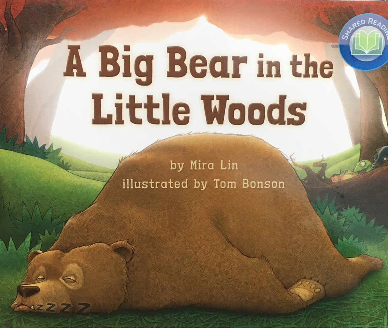 A big bear in the little woods