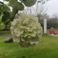 花生味日常