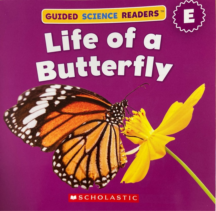 Life of a Butterfly