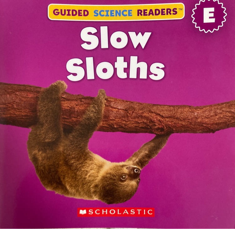 Slow Sloths