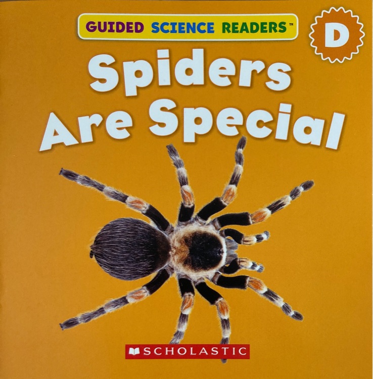 spiders are special