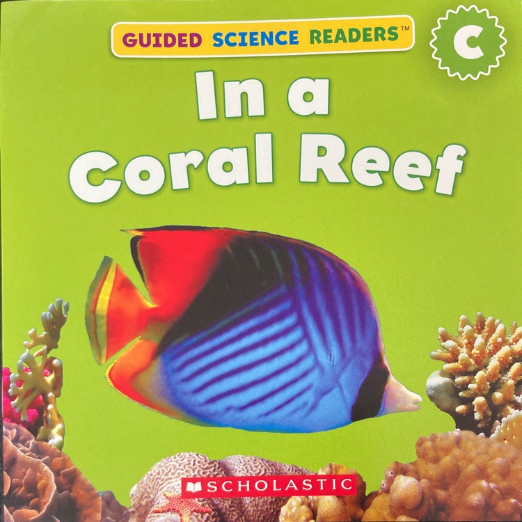 In a Coral Reef