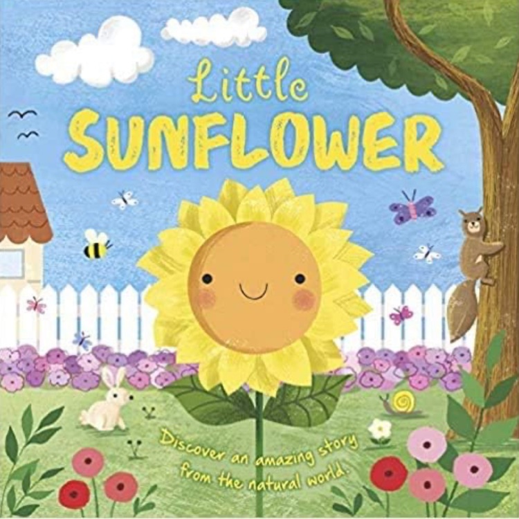 Little sunflower