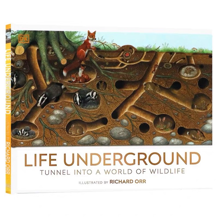 Life underground - tunnel into a world of wildlife