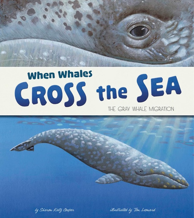 When Whales Cross the Sea