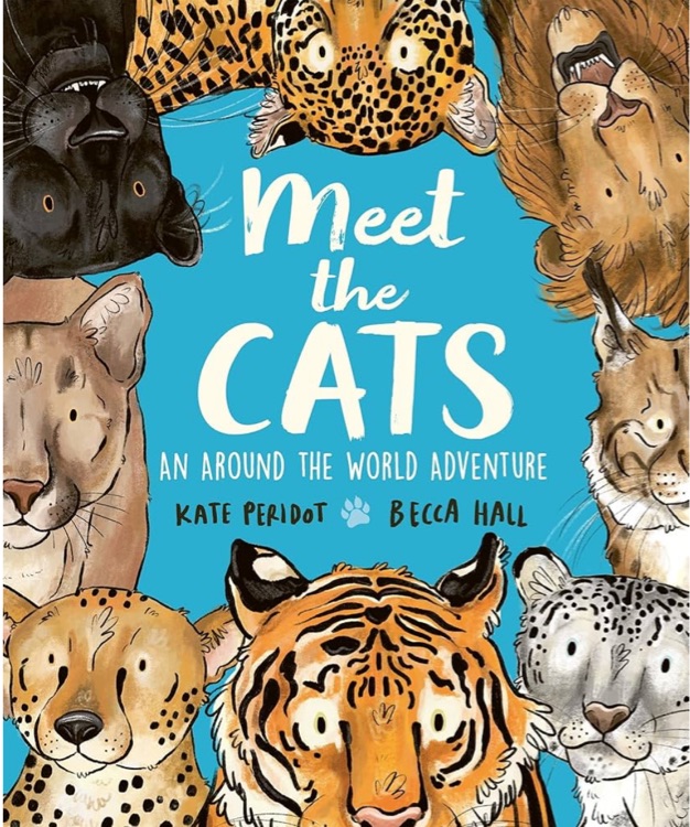 Meet the Cats