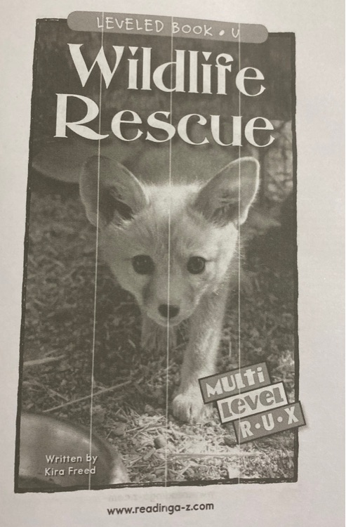 Wildlife rescue