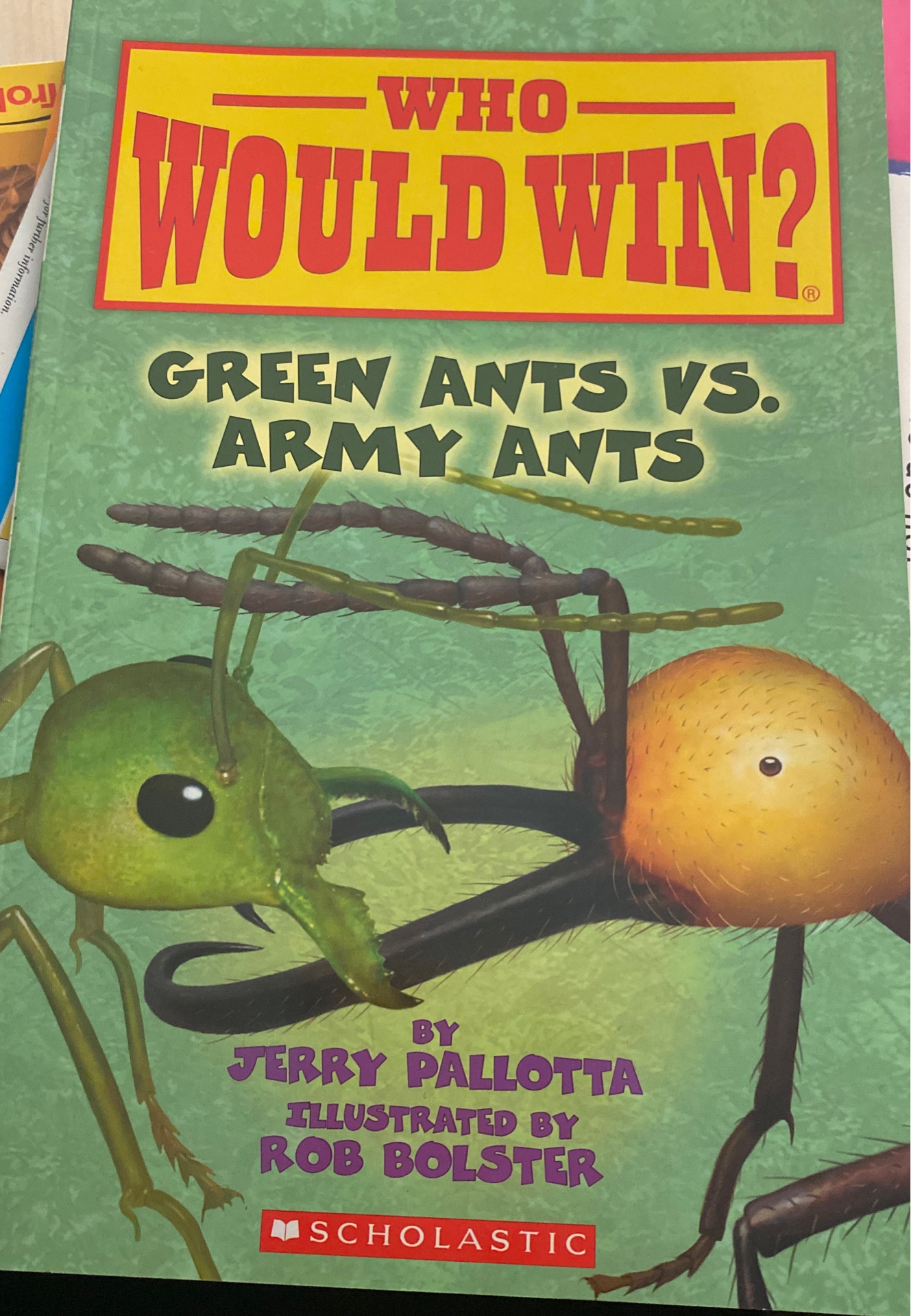 who would win?  green ants vs. army ants