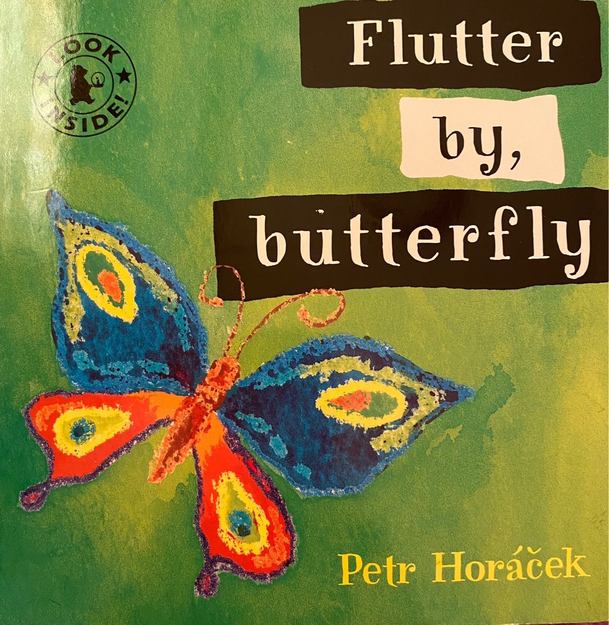 Petr horacek-flutter by,butterfly