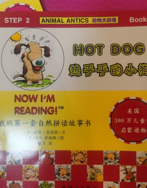 hot dog