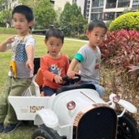 顺其自然90830275