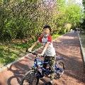 少年豆豆