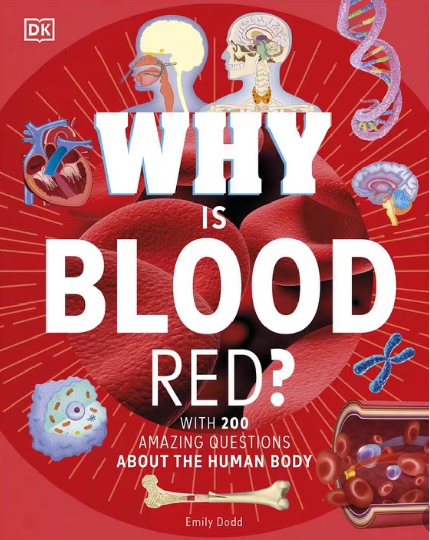 Why is blood red?