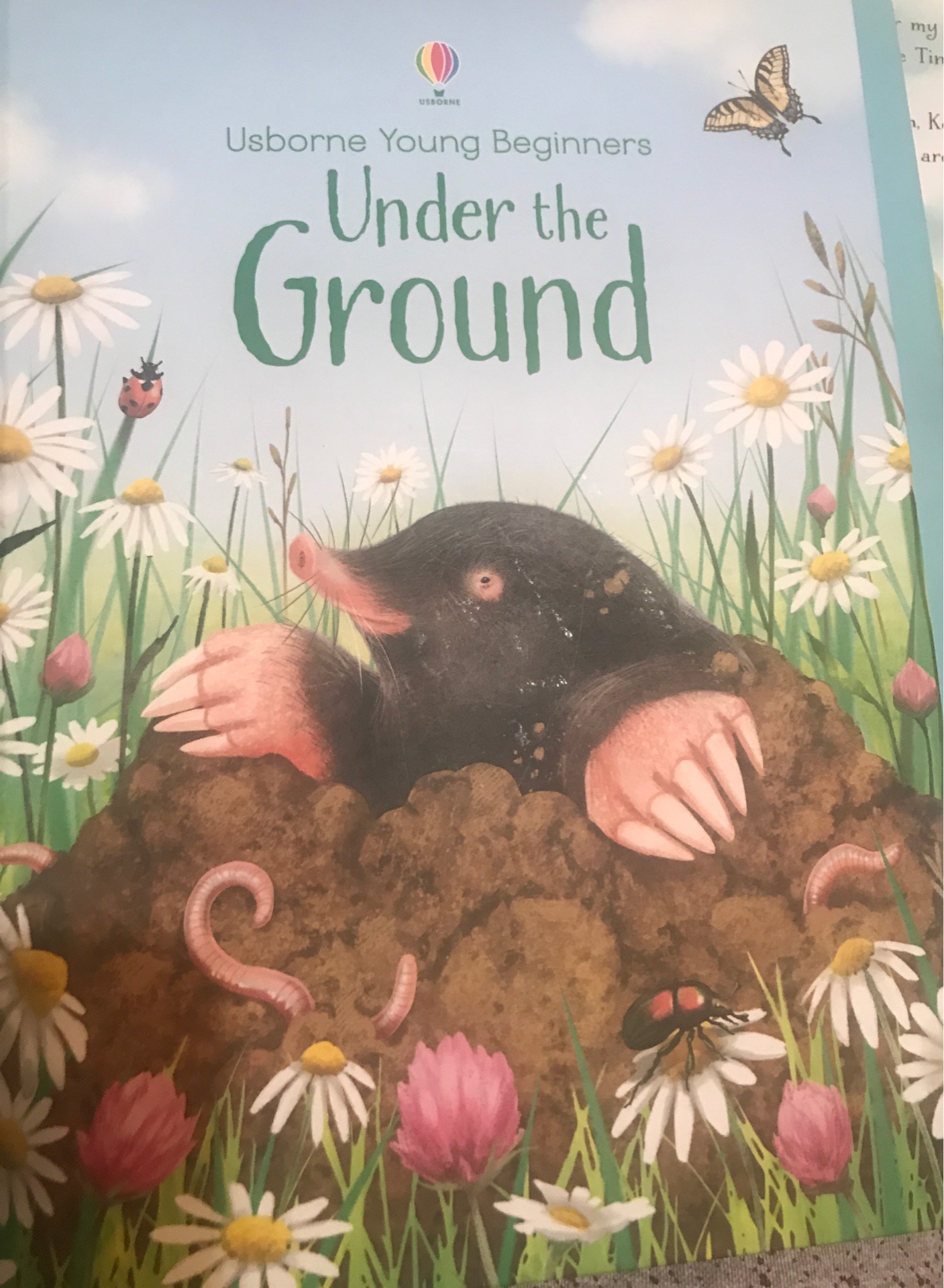 Under the ground